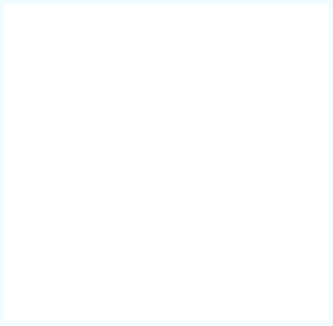 LG-300x294-1.png